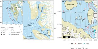 Tidewater glaciers as “climate refugia” for zooplankton-dependent food web in Kongsfjorden, Svalbard